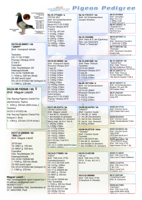 hu24-m-192646__pedigree_.png